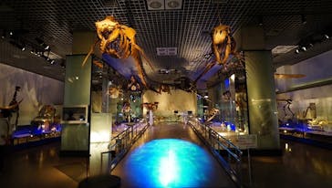 国立科学博物館に投稿された画像（2020/9/4）