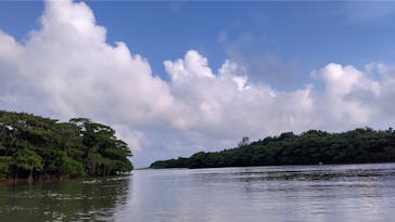 CHOROに投稿された画像（2020/9/4）