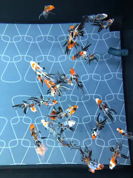 すみだ水族館に投稿された画像（2020/9/4）