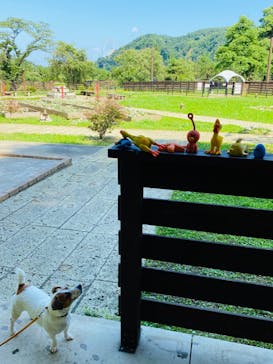 わんダフルネイチャーヴィレッジに投稿された画像（2020/9/5）