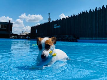 わんダフルネイチャーヴィレッジに投稿された画像（2020/9/5）