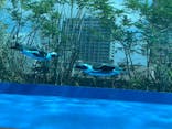 サンシャイン水族館に投稿された画像（2020/9/5）