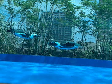 サンシャイン水族館に投稿された画像（2020/9/5）