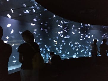 サンシャイン水族館に投稿された画像（2020/9/5）