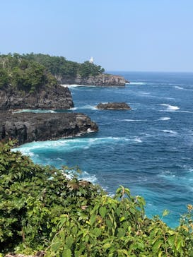 ニューヨークランプミュージアム＆フラワーガーデンに投稿された画像（2020/9/5）