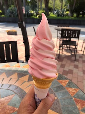 ニューヨークランプミュージアム＆フラワーガーデンに投稿された画像（2020/9/5）