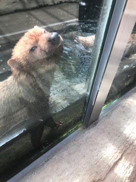 神戸どうぶつ王国に投稿された画像（2020/9/5）