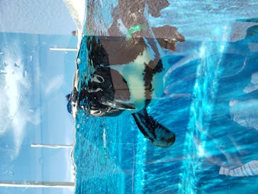 四国水族館に投稿された画像（2020/9/5）