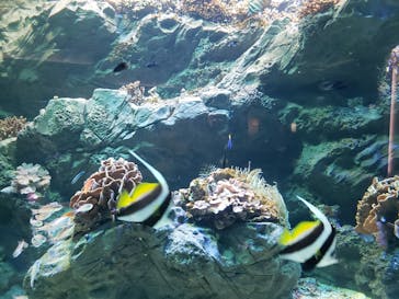 四国水族館に投稿された画像（2020/9/5）