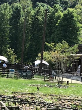 わんダフルネイチャーヴィレッジに投稿された画像（2020/9/5）