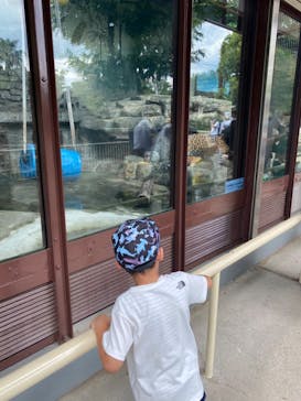 天王寺動物園に投稿された画像（2020/9/5）