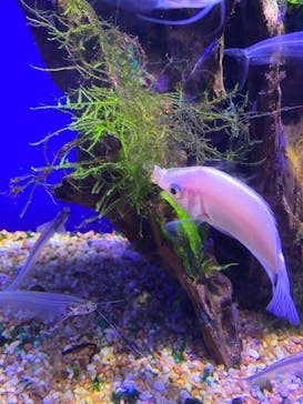 サンシャイン水族館に投稿された画像（2020/9/5）