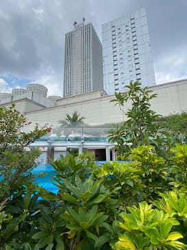 サンシャイン水族館に投稿された画像（2020/9/5）