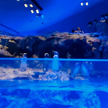 すみだ水族館に投稿された画像（2020/9/5）