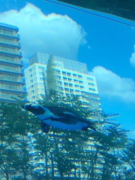 サンシャイン水族館に投稿された画像（2020/9/5）