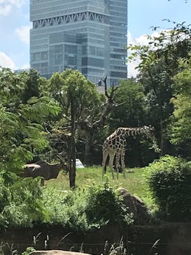 天王寺動物園に投稿された画像（2020/9/5）