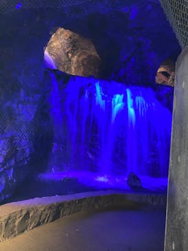 地底王国「美川ムーバレー」に投稿された画像（2020/9/5）