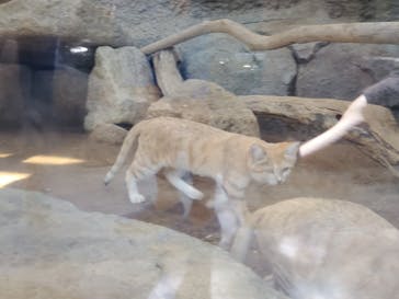 神戸どうぶつ王国に投稿された画像（2020/9/5）