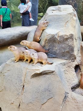 神戸どうぶつ王国に投稿された画像（2020/9/5）