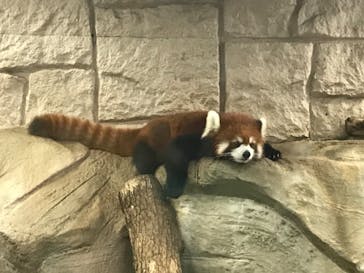 天王寺動物園に投稿された画像（2020/9/5）