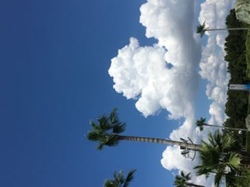 リゾ鳴尾浜に投稿された画像（2020/9/5）