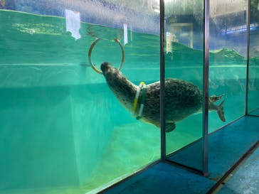 下田海中水族館に投稿された画像（2020/9/5）