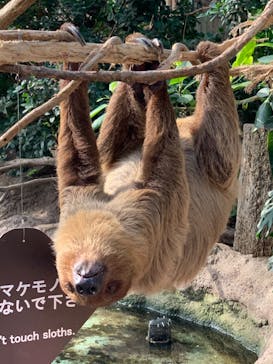 神戸どうぶつ王国に投稿された画像（2020/9/6）