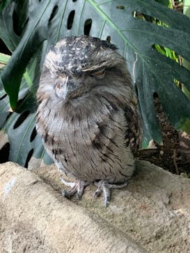 神戸どうぶつ王国に投稿された画像（2020/9/6）