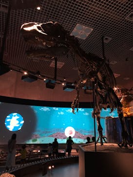 国立科学博物館に投稿された画像（2020/9/6）
