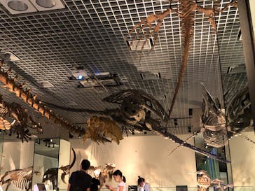 国立科学博物館に投稿された画像（2020/9/6）