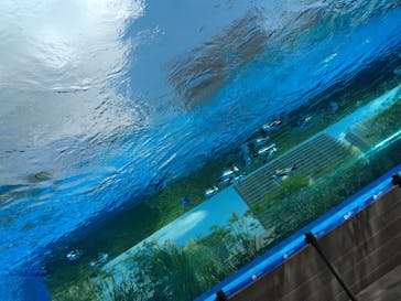 サンシャイン水族館に投稿された画像（2020/9/6）