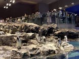 すみだ水族館に投稿された画像（2020/9/6）