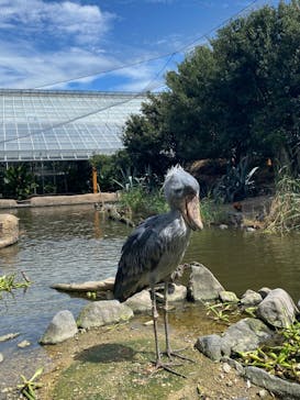 神戸どうぶつ王国に投稿された画像（2020/9/6）