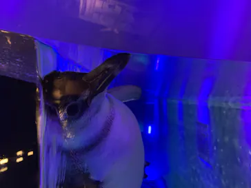 すみだ水族館に投稿された画像（2020/9/6）