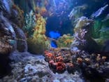 サンシャイン水族館に投稿された画像（2020/9/6）