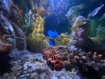 サンシャイン水族館に投稿された画像（2020/9/6）