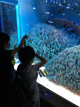 サンシャイン水族館に投稿された画像（2020/9/6）