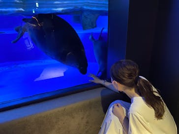 サンシャイン水族館に投稿された画像（2020/9/6）