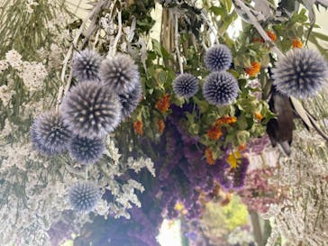 Florilege（フロリレージュ）に投稿された画像（2020/9/6）