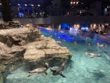 すみだ水族館に投稿された画像（2020/9/6）