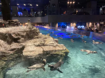 すみだ水族館に投稿された画像（2020/9/6）
