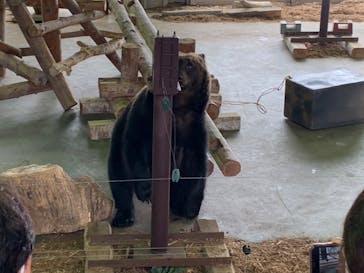 のぼりべつクマ牧場に投稿された画像（2020/9/6）