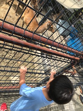 天王寺動物園に投稿された画像（2020/9/6）