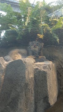 神戸どうぶつ王国に投稿された画像（2020/9/6）