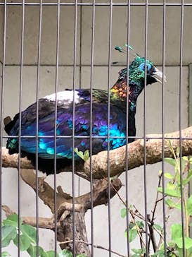 天王寺動物園に投稿された画像（2020/9/6）