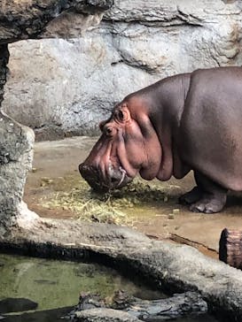 天王寺動物園に投稿された画像（2020/9/6）