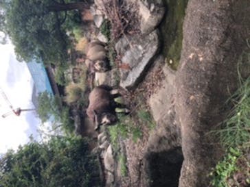 天王寺動物園に投稿された画像（2020/9/6）