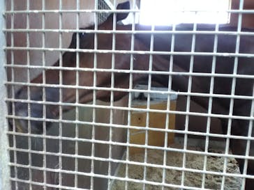 ノーザンホースパークに投稿された画像（2020/9/6）