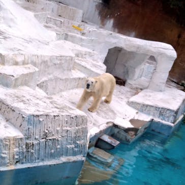 天王寺動物園に投稿された画像（2020/9/6）