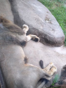 天王寺動物園に投稿された画像（2020/9/6）